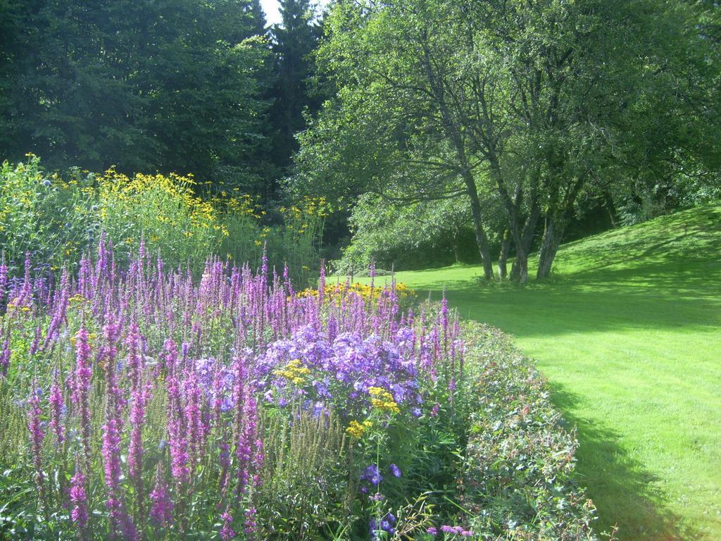 Heidehof Hellenthal Villa Eksteriør bilde