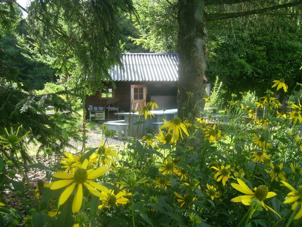 Heidehof Hellenthal Villa Eksteriør bilde