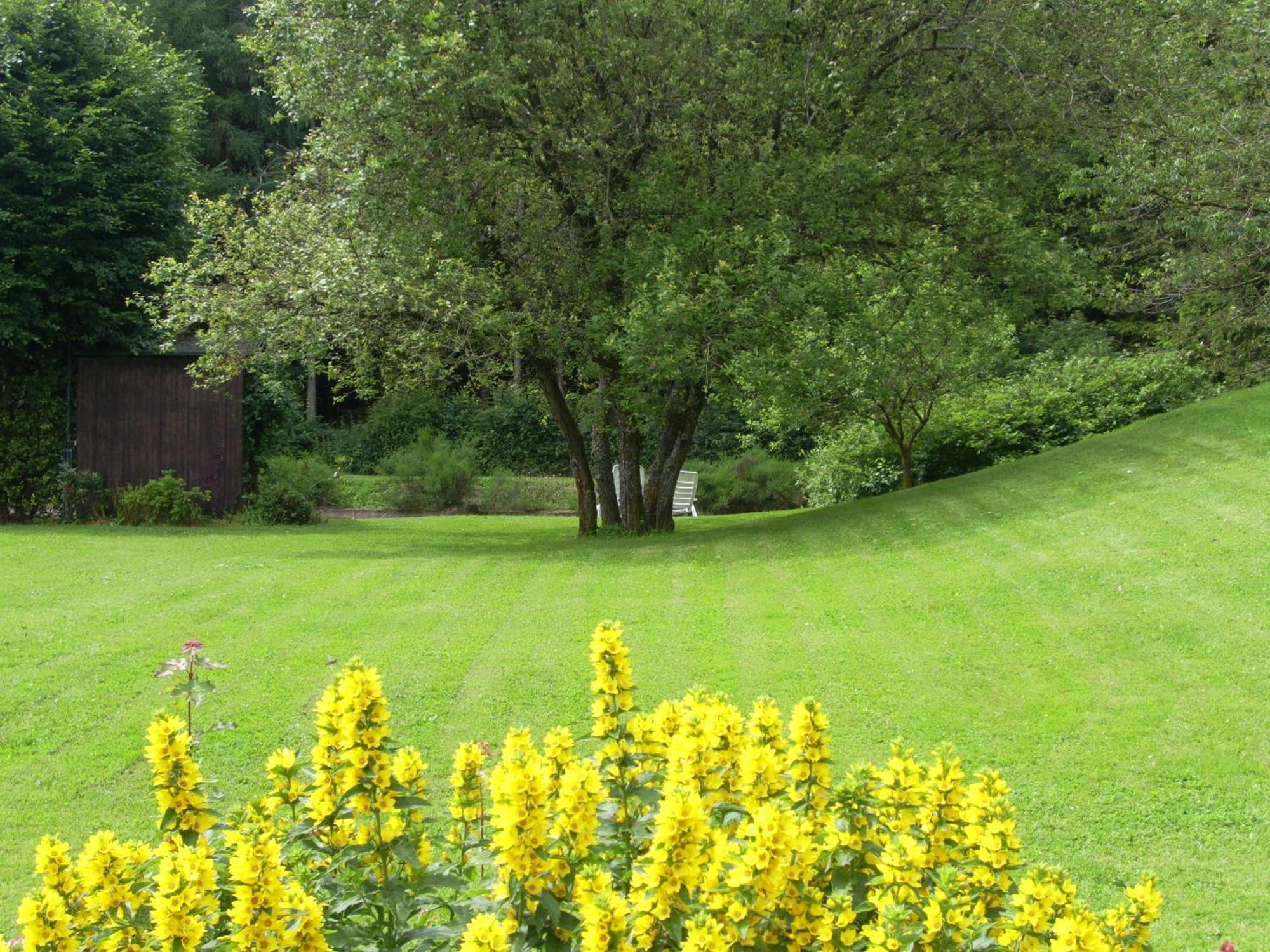 Heidehof Hellenthal Villa Eksteriør bilde