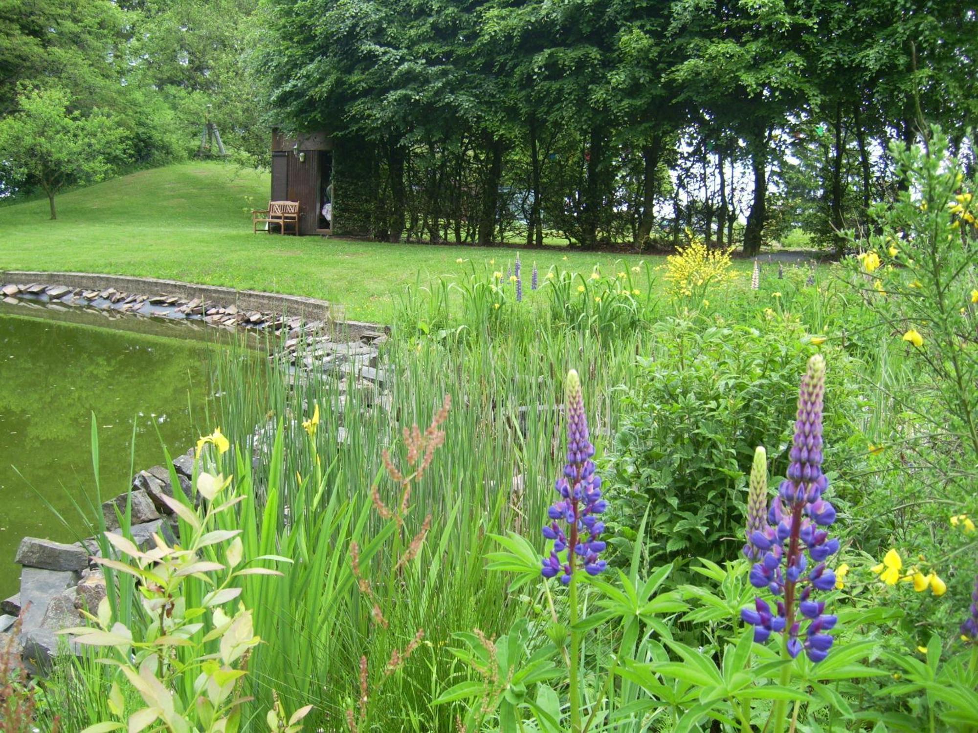 Heidehof Hellenthal Villa Eksteriør bilde